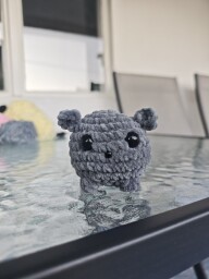 IMG_20250614_195849