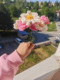 Sedmikráska