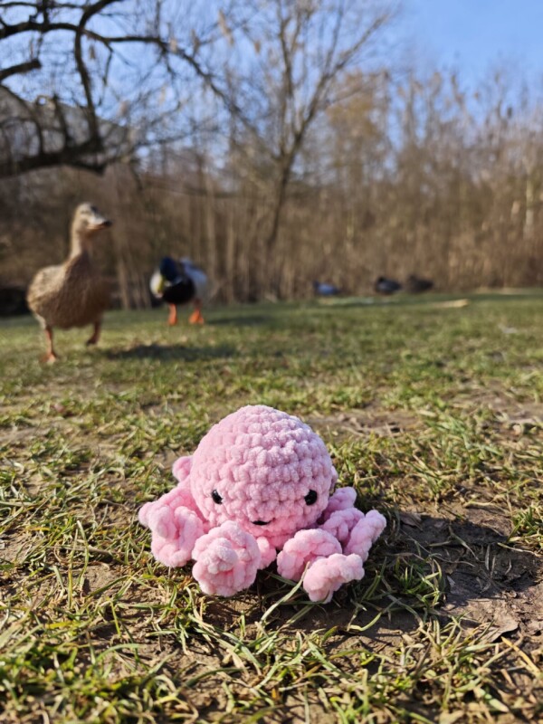 Chobotnička