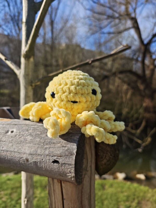 Chobotnička
