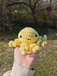 Chobotnička