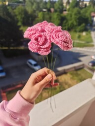 Růže